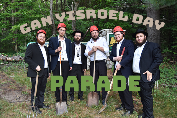 Honestly; What's The Plan?!